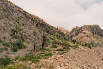 Road leading towards the Salinas Grandes salt flats near Purmamarca