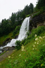 Fototapeta premium waterfall in the mountains