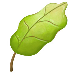 Green leaf illustration. Watercolor botanical illustration, isolated on transparent background. Watercolor painting on transparent background