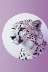 white cheetah face in white circle on purple background