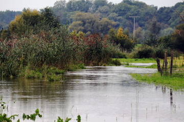 Überschwemmung, Flut, Deich, Delta, Wasser, See