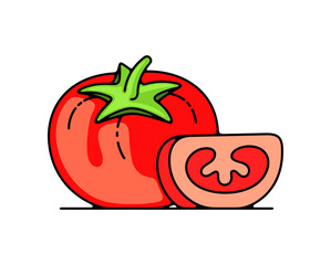 Tomato, tomatoes, vegetable, fruit, food and meal. Plant, garden, beds, market, agriculture and agricultural, illustration