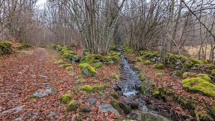 Deux Chemins