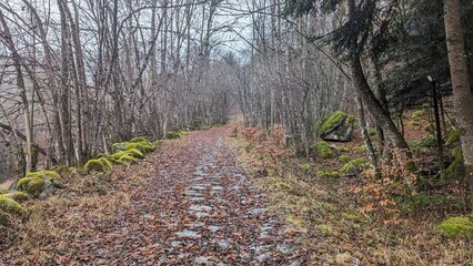 Chemin de Randonnée