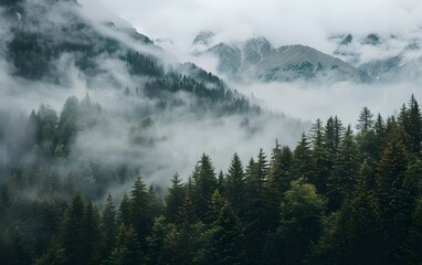 Minimalistic Forest and Mountain Landscape Shrouded in Mist, Captured in Unsplash Style, Aspect Ratio 8:5