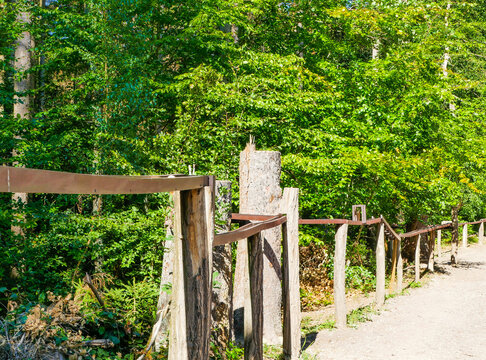 Holzmurmelbahn Erlebnispfad Walderlebnispfad Bingen