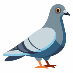 Obraz premium pigeon, dove, carrier pigeon, bird, poultry, avian, birdy, nestling, chick, auk, pet, vector, illustration, draw, cartoon, pretty, cute