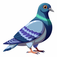 pigeon, dove, carrier pigeon, bird, poultry, avian, birdy, nestling, chick, auk, pet, vector, illustration, draw, cartoon, pretty, cute