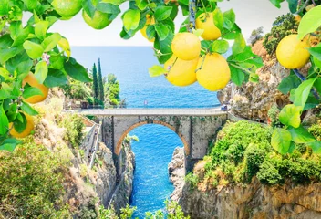Photo sur Plexiglas Plage de Positano, côte amalfitaine, Italie famous picturesque road viaduct of Amalfitana summer coast, Italy toned image