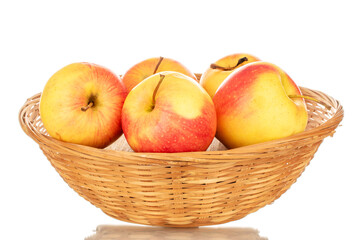 Several yellow apples in a straw dish, macro, isolated on a white background