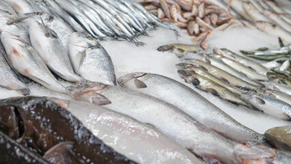 fresh fish on iced showcase on the seafood market