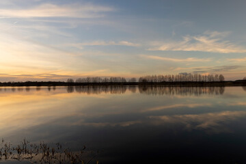 A thin row of deciduous trees on the lake shore