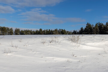 freshly fallen white cold snow in nature