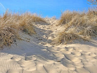 Michigan dune with beach grass and bright blue sky