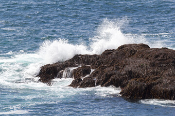 waves brakes at rocks at the coast of puffin island