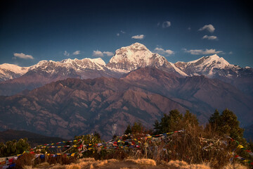 Prayer Flags and the Dhaulagiri Massif at Dawn, Poon Hill Trek, Nepal