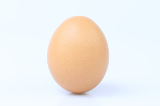 egg