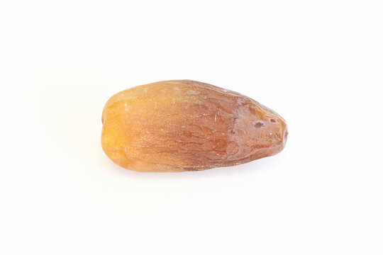 Date Palm