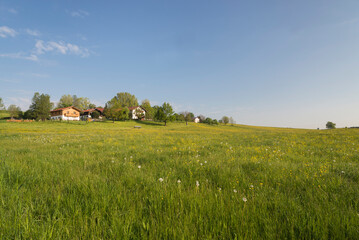 Fototapeta premium Bauernhof in Oberbayern umgeben von blühenden Wiesen an einem sonnigen Morgen im Frühling,Bayern,Deutschland