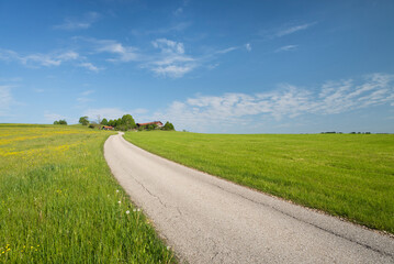 Strasse zu einem Bauernhof in Oberbayern umgeben von blühenden Wiesen an einem sonnigen Morgen im...
