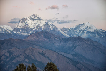 Twilight Glow on Dhaulagiri and Tukuche Peak from Poon Hill, Nepal
