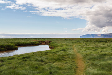 panoramic look over the green beach of Rauðisandur in summer