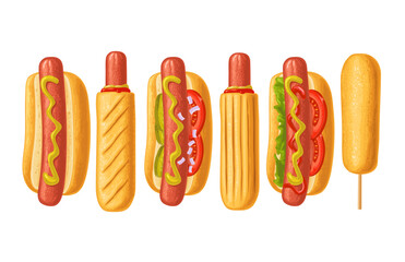 Different types hotdog and corndog with with tomato, ketchup, mayo, leave lettuce, cucumber, mustard, onion. Top view. Vector color flat illustration for poster, menus, web. Icon isolated on white