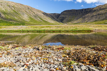 Fototapeta premium iconic panoramic Mountain View at Sauðlauksdalur next to the famous shipwreck in iceland. In front is a little pond