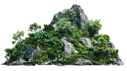 Fotobehang Vegetated Green Moutain Isolated On Transparent Background. Peaks With Vegetation, Forest And Jungle. Realistic Mountain Environment © Immersive Dimension