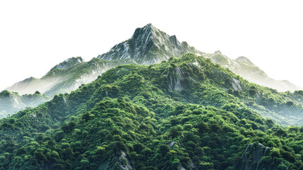 Vegetated Green Moutain Isolated On Transparent Background. Peaks With Vegetation, Forest And Jungle. Realistic Mountain Environment