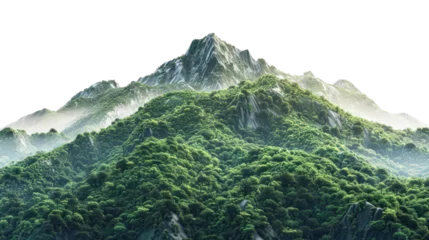 Fotobehang Vegetated Green Moutain Isolated On Transparent Background. Peaks With Vegetation, Forest And Jungle. Realistic Mountain Environment © Immersive Dimension