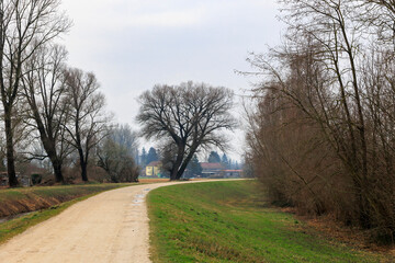 A cycle path along the renaturalised riverbed of the Wertach river on a cloudy day in the...