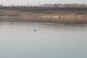 A person in a kayak in a body of water