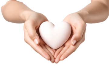 Close up of beautiful female hands in heart shape isolated on white background this png file with an isolated cutout object on a transparent background