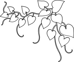 ivy plant drawing illustraivy plant drawing illustration.tion. - 753778733