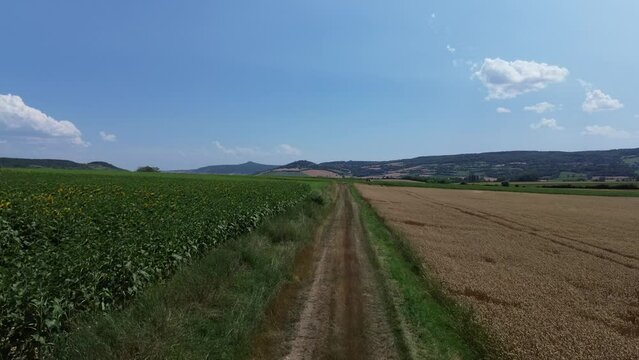 Agricultura y caminos de vida, camino De Santiago, caminos de auvernia