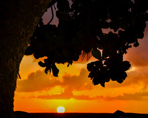 Golden Hour Kauai