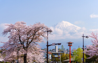 Fuji mountain with clouds and blue sky and beautiful cherry blossoms foreground in sunny day...