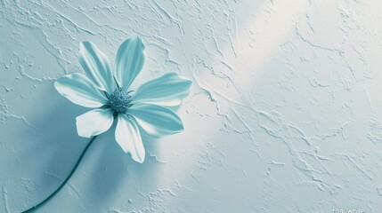 a single blue flower sitting on top of a white wall next to a shadow of a person's hand.