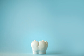 mockup of a molar chewing tooth on a blue background