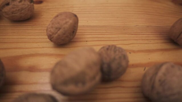 Walnuts in their shells are crumbling on the wooden floor.