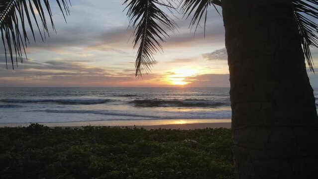 Beautiful beach with coconut tree on islan