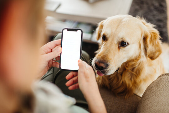 Mockup phone with white screen in woman's hands and dog next to her