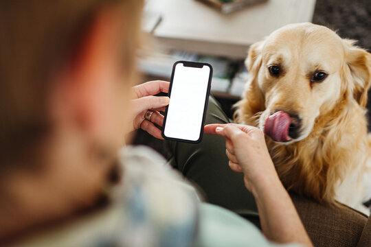 Mockup phone with white screen in woman's hands and dog next to her