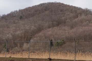 Obraz premium Early spring late winter copy space park background image, trees before spring bloom
