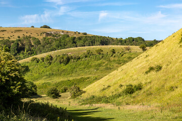 Devil's Dyke in the South Downs, with a blue sky overhead - 753791317