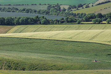 Looking down at a full frame photograph of green fields in the South Downs, on a sunny late spring day - 753791506
