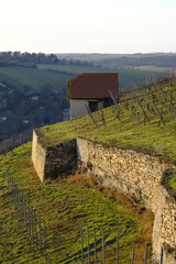Weinberge bei Freyburg an der Unstrut, Burgenlandkreis, Sachsen-Anhalt, Deutschland