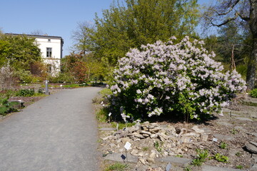 Botanischer Garten in Leipzig