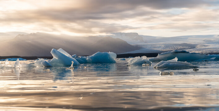 Icy lagoon with floating icebergs and glaciers in Iceland 